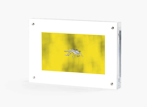 GMM CRICKET/ FLY - MESH- VIDEO ART OBJECT