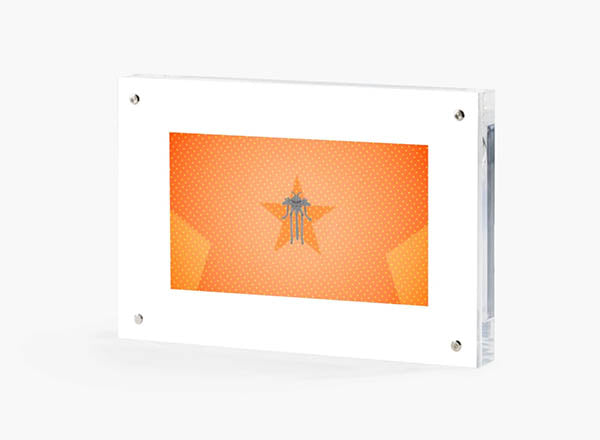 GMM CRICKET/ FLY - SILVER - VIDEO ART OBJECT