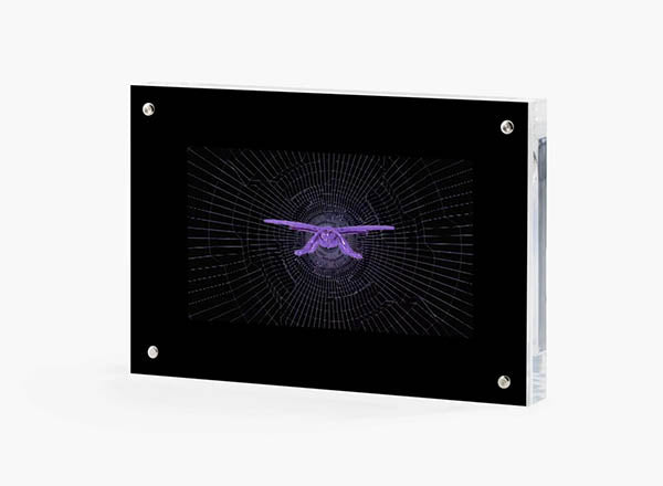 GMM DRAGONFLY WASP - PURPLE