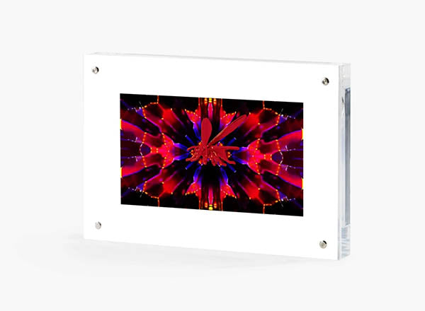 GMM DRAGONFLY/ WASP - RED- VIDEO ART OBJECT