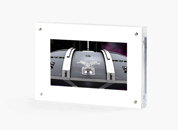 GMM RHINO BEETLE - SILVER- VIDEO ART OBJECT