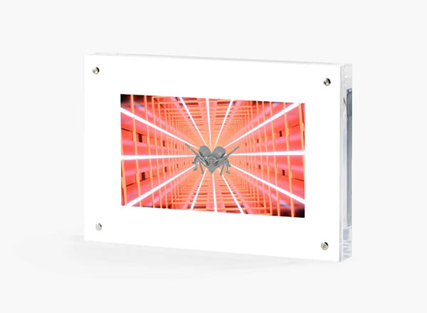 GMM SCARAB FLY - SILVER