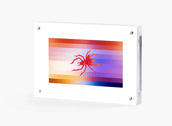 GMM SPIDER MOTH - RED