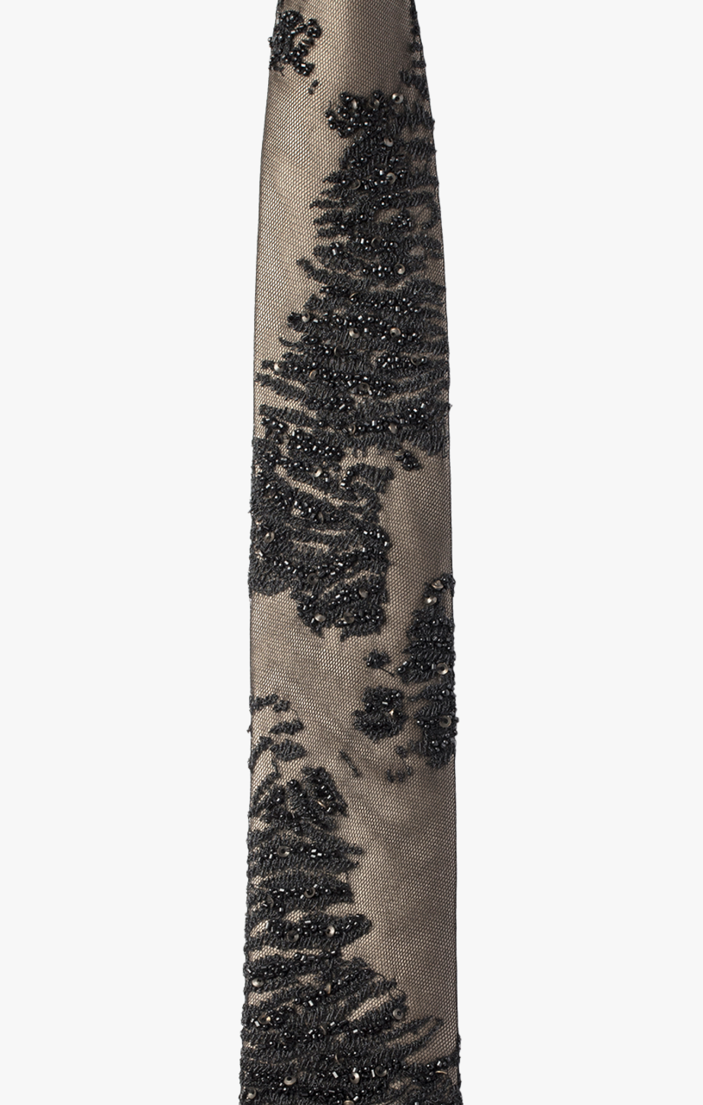 regions of 'Ius Chasma' is depicted by caviar beadwork and sequins on a tulle overlayed silk