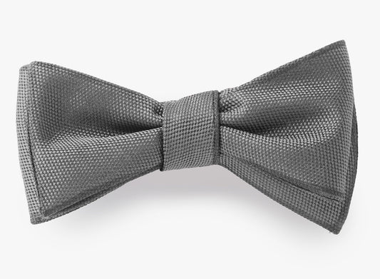 PAINTED EDGE BOWTIE
