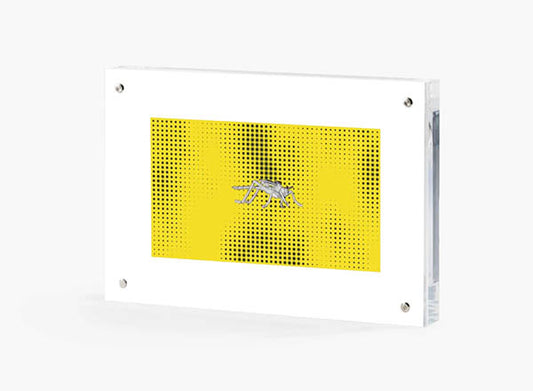 GMM CRICKET FLY - MESH