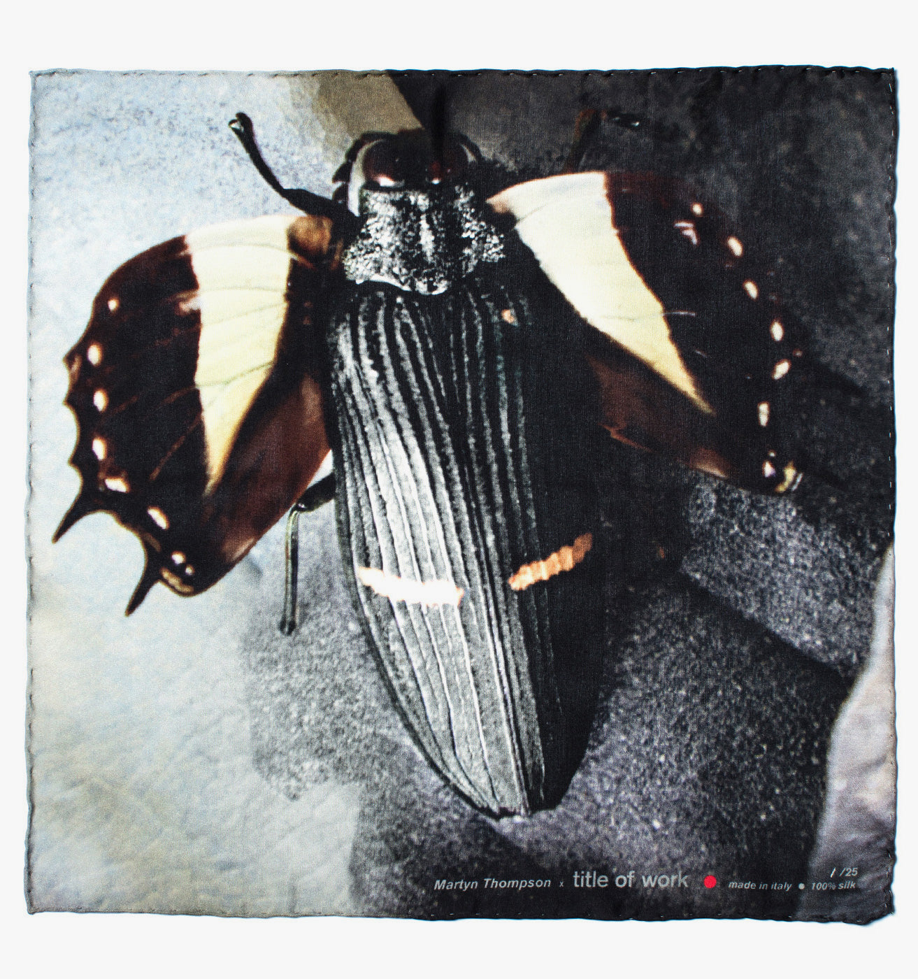 MOTH MUTATION – titleofwork