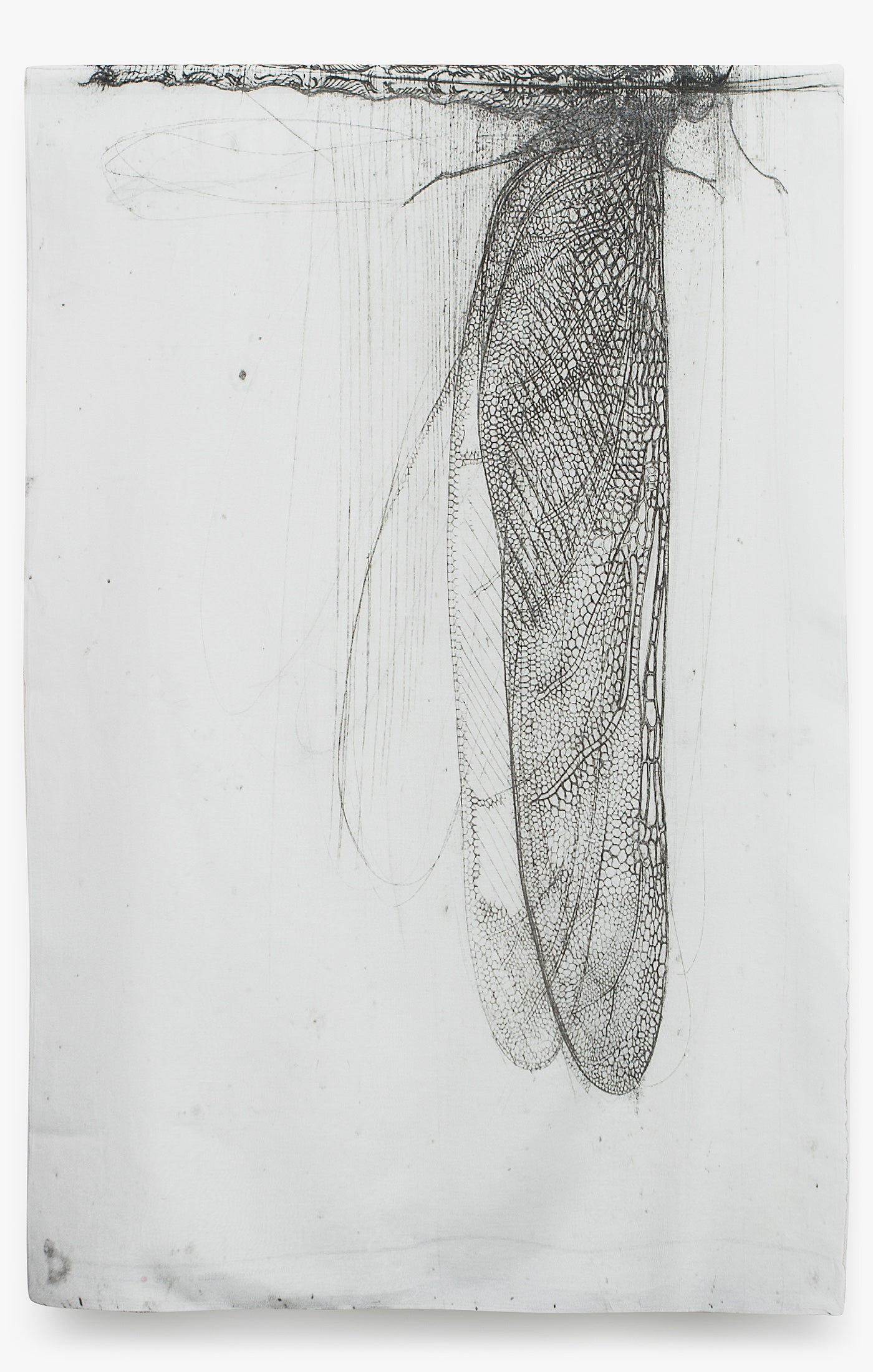 limited edition scarf of a dragonfly in motion is conceived illustrated by italian artist lanfranco quadrio