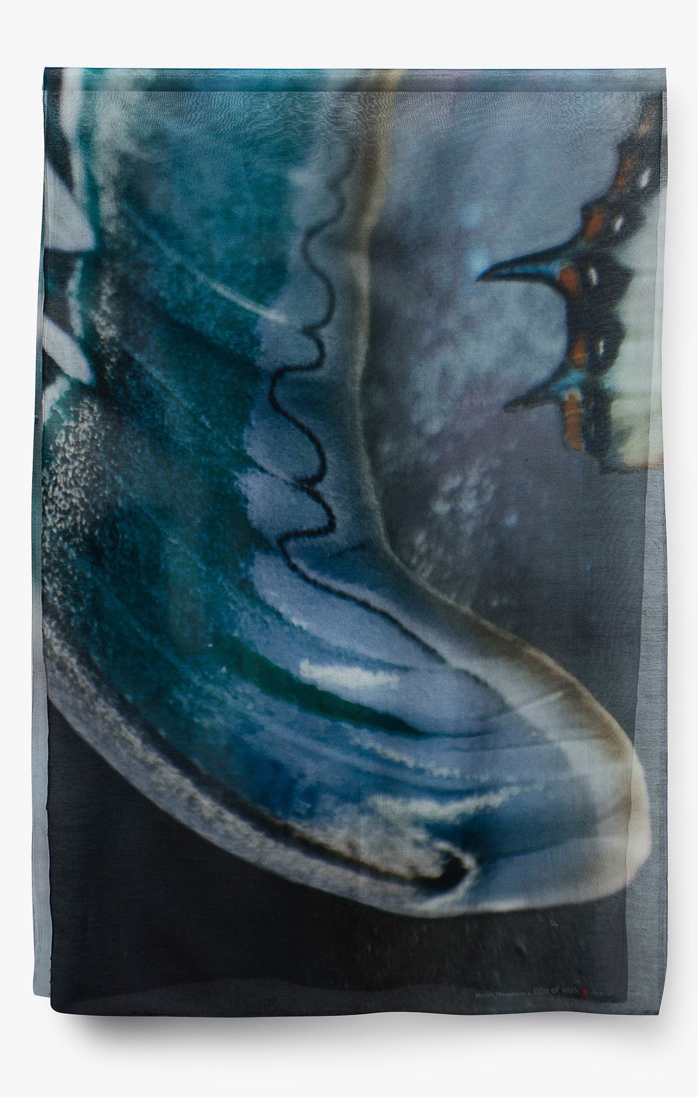 limited edition scarf of a moth wing close up is conceived photographed by martyn thompson