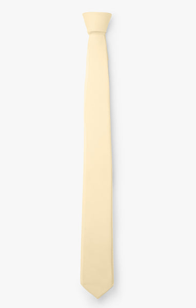 小物 CTHY BIASCUT SILK TIE BIASCUT SILK TIE | CTHY